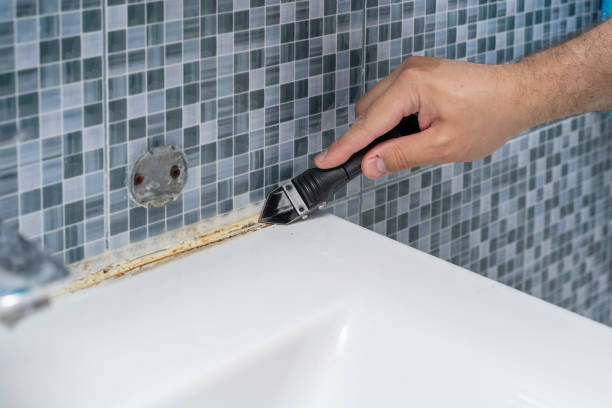 Best Mold Remediation  in Canton, GA