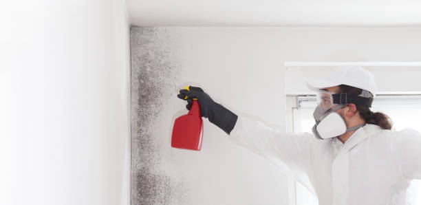 Best Mold Cleaning Services  in Canton, GA