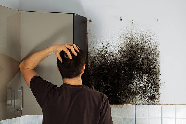 Best Mold Removal Process  in Canton, GA